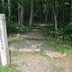 Mathews Arm Campground Traces/Overall Run Trail-head