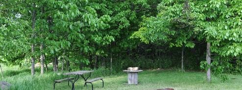 Picnic table and fire ring in a grassy, treed site — useful close-up of a typical campsite and on-site amenities.