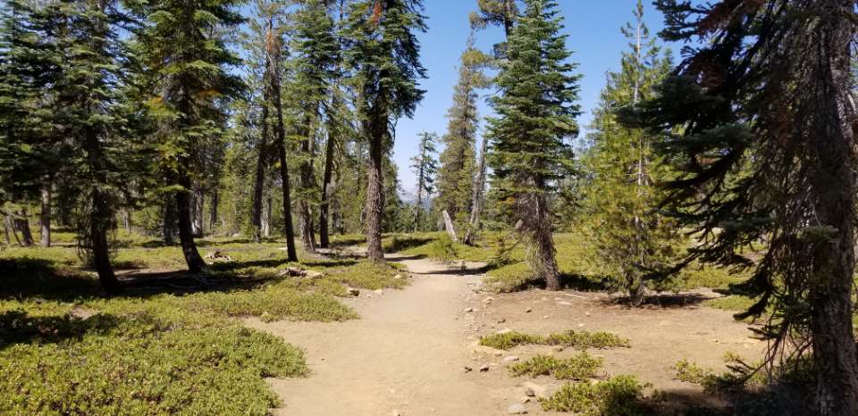 Pioneer RV Park