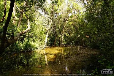 Box Elder Campground