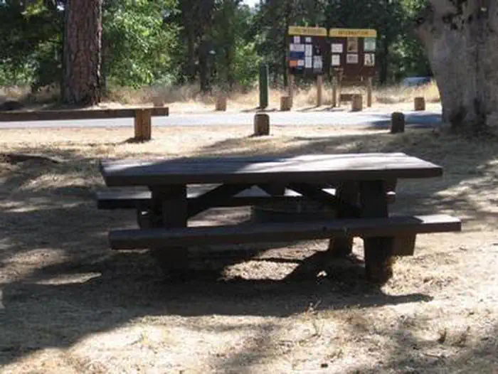 Pines Group Stanislaus