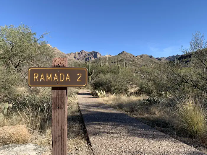 Sabino Canyon Recreation Area Cactus Ramada 2