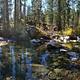 Headwaters of French Meadows Lake near Aspen Group Campground.