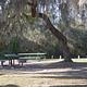 Picnic tables