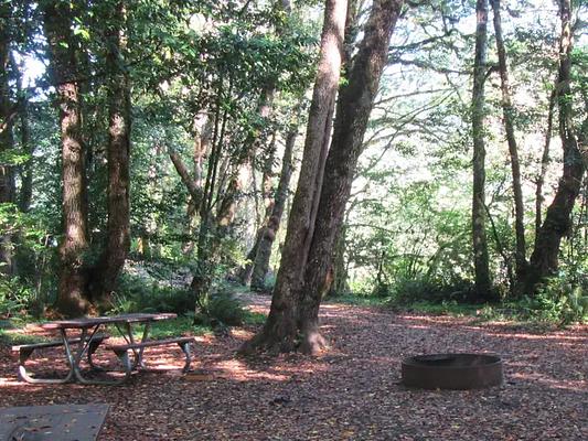 Group Area, Loop: Eagleview Group Campground (Reservation)