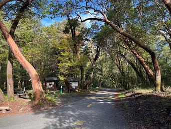 Boise Creek Entrance