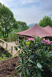 Elk & Embers Resort