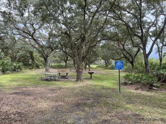 Hal Scott Regional Preserve and Park Site 2 Hike-In SJRWMD