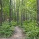 Campspot slideshow image 4