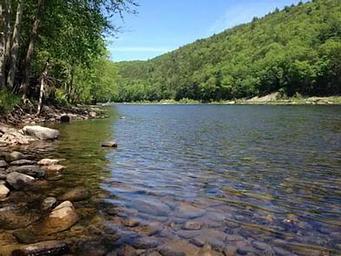 River with greenery on the edge of the rocky shore