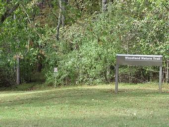 Smith Ridge Campground Trail