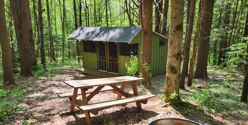 Woodland cabin/shelter among trees with picnic table and fire ring — illustrates wooded campsite setting and small cabin style (homepage banner image).