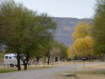Tree lined campground