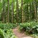 Mt Hood Village Campground