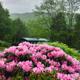 grandfather mountain cabin