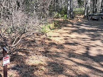 Windy Point Campground Site #2