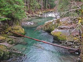 Ohanapecosh Group Campground