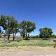 A photo of the Deerlodge Park Campground with Fremont Cottonwood trees