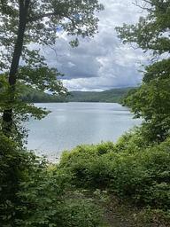 site 74