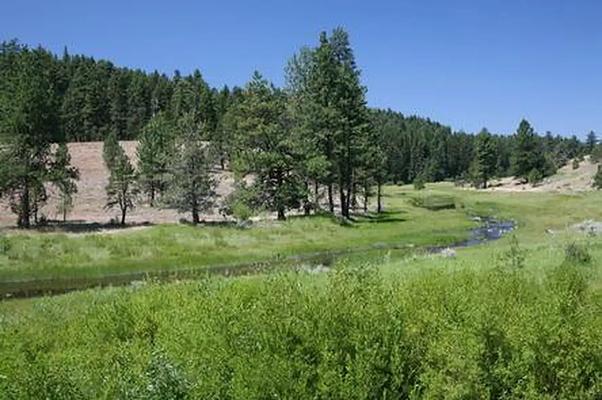 CSGS, Loop: AREA COLD SPRINGS CABIN