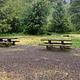Picnic Tables