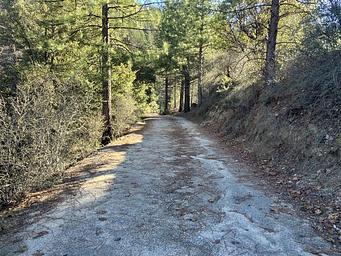 Road from Crystal Creek Road leading to campground.