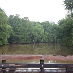 Campground image 2