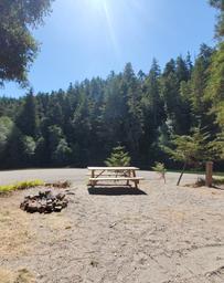 Gualala River Redwood Park