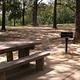 Coffee Mill Campsite, picnic table and BBQ