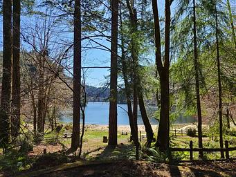Shady campsite with Loon Lake view in the background.