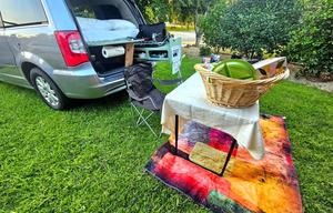 Tiny RV for two