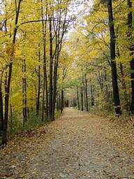 Westville Recreation Area