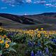 Moonrise over Lemhi Pass