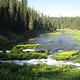 Warm River Springs