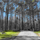 Campspot slideshow image 5
