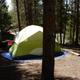 Tent campsite under trees with defined pad and campsite borders — a clear example of tent camping at the property (matches images shown on the Accommodations/Tent Campsites pages).