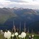 SHORTY PEAK LOOKOUT