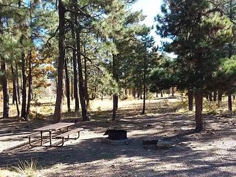 Mogollon Campground