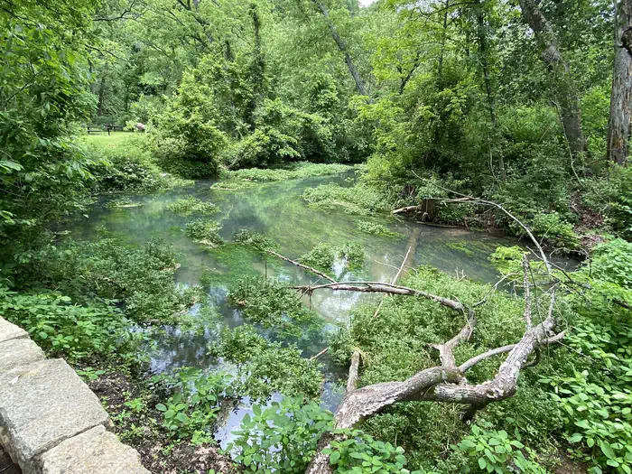 Lane Spring Recreation Area