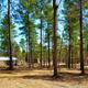 Campspot slideshow image 2