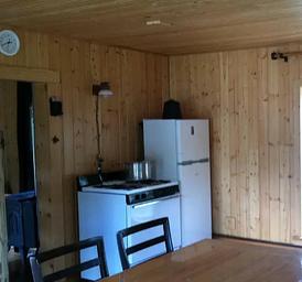 Propane refrigerator and stove