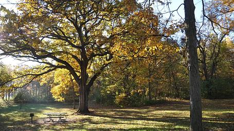 Walnut Ridge Recreation Area