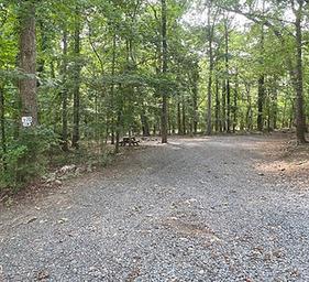 Site 70.jpg