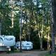Clear photo of RVs parked among tall pines on a dirt lane — matches 'Seasonal' page context and shows on‑site seasonal RV sites and wooded campground setting.