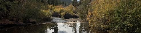 Spruce Grove Campground