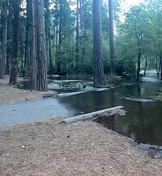 Flooding in Lower Pines #62