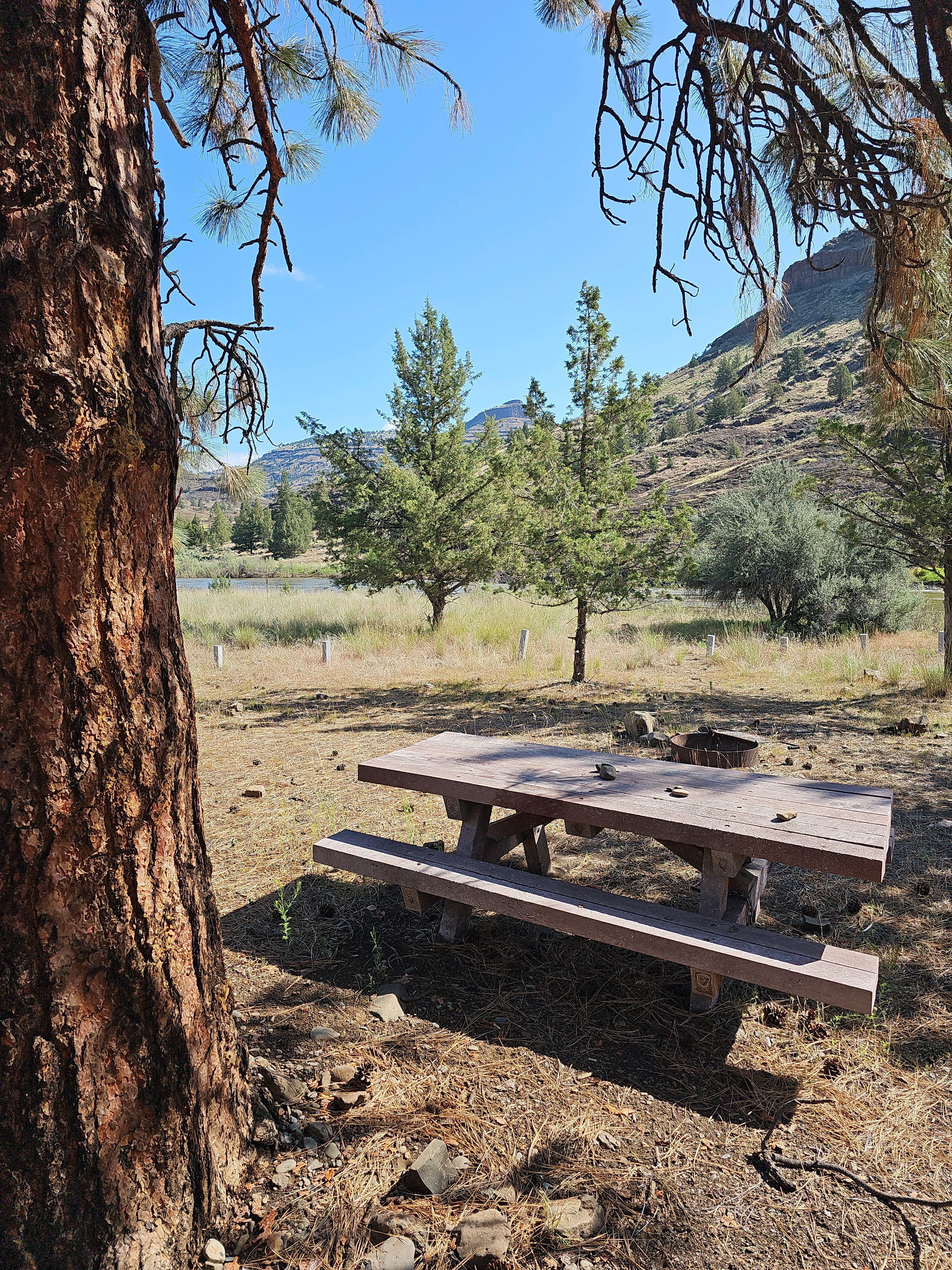 Donnelly Service Creek River Access Park