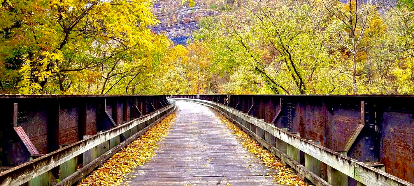 Hillbilly Rentals Resort & Campground - Ivy