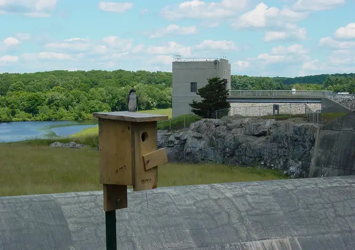 West Thompson Lake Campground