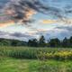Campspot slideshow image 1
